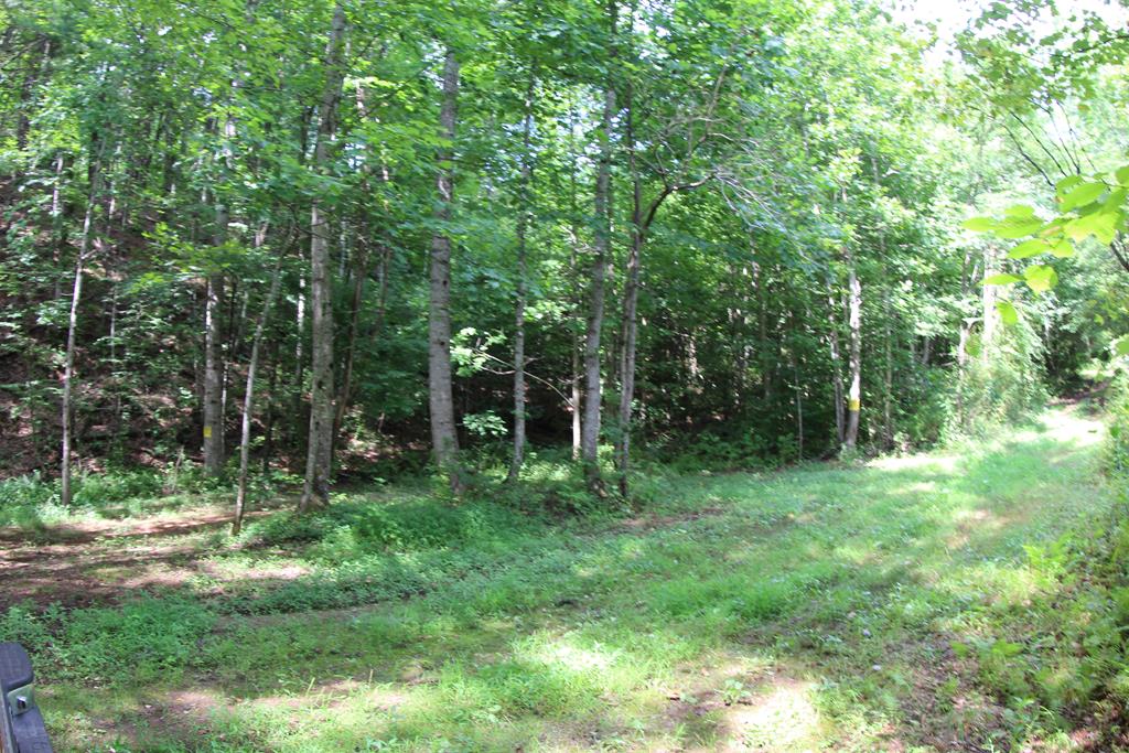 0 Morrison Lane Stuart, VA 24171 - Photo 22 of 24 Gallery Image 22