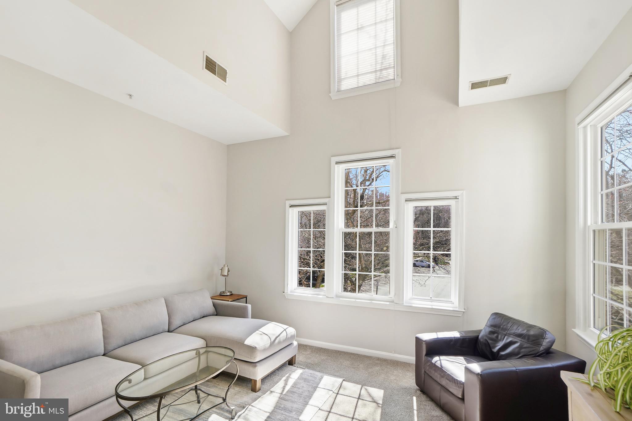 1365 Garden Wall Circle, Unit 703 Reston, VA 20194 - Photo 18 of 31 Main level bedroom with vaulted ceiling and