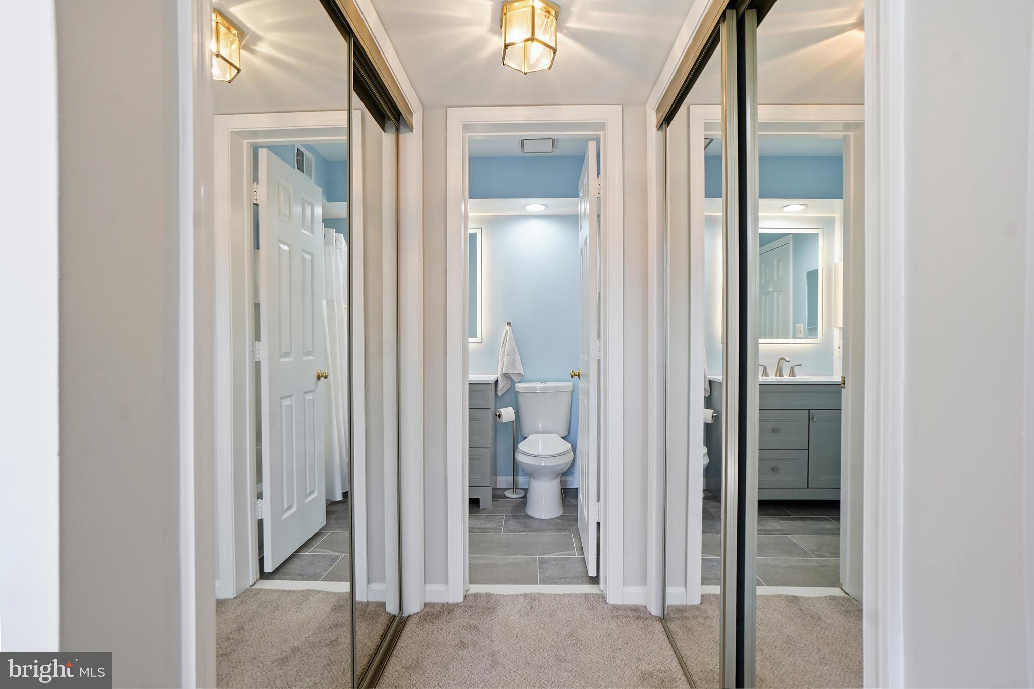 1365 Garden Wall Circle, Unit 703 Reston, VA 20194 - Photo 19 of 31 Walk Through closet in main lvl bedroom