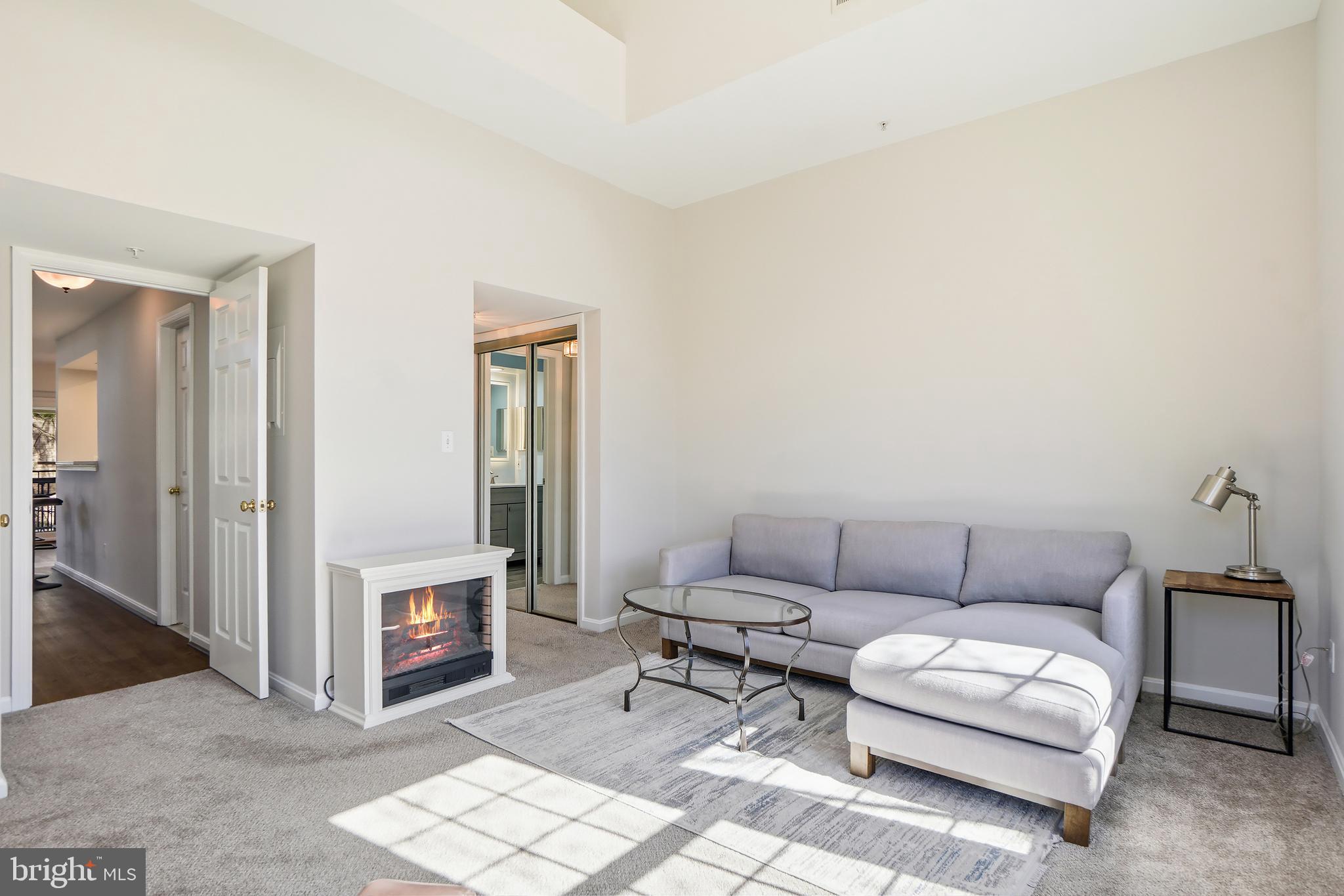 1365 Garden Wall Circle, Unit 703 Reston, VA 20194 - Photo 20 of 31 Like-new carpet and fresh paint through out home