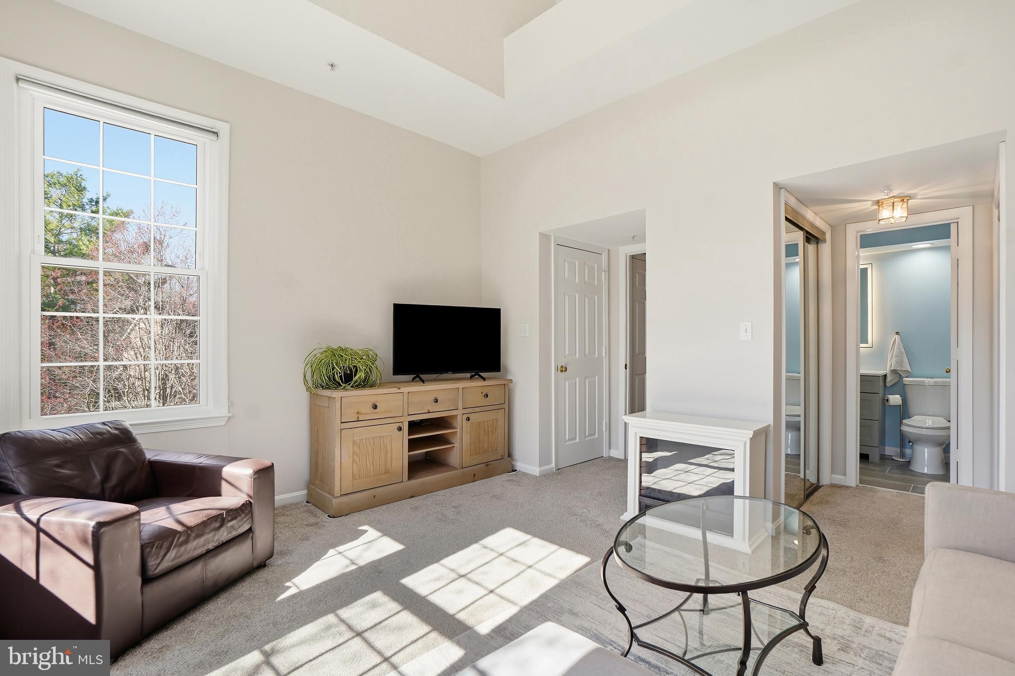 1365 Garden Wall Circle, Unit 703 Reston, VA 20194 - Photo 21 of 31 Loads of huge windows face South