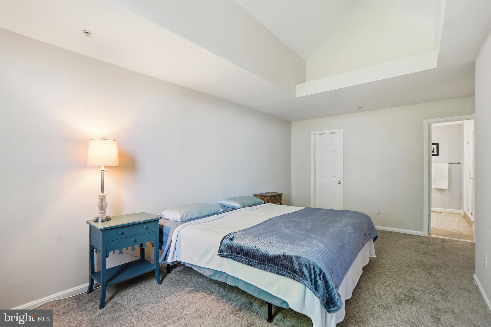 1365 Garden Wall Circle, Unit 703 Reston, VA 20194 - Photo 24 of 31 Vaulted ceiling, plenty of room for a king