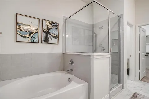 a bathroom with a bathtub and a shower