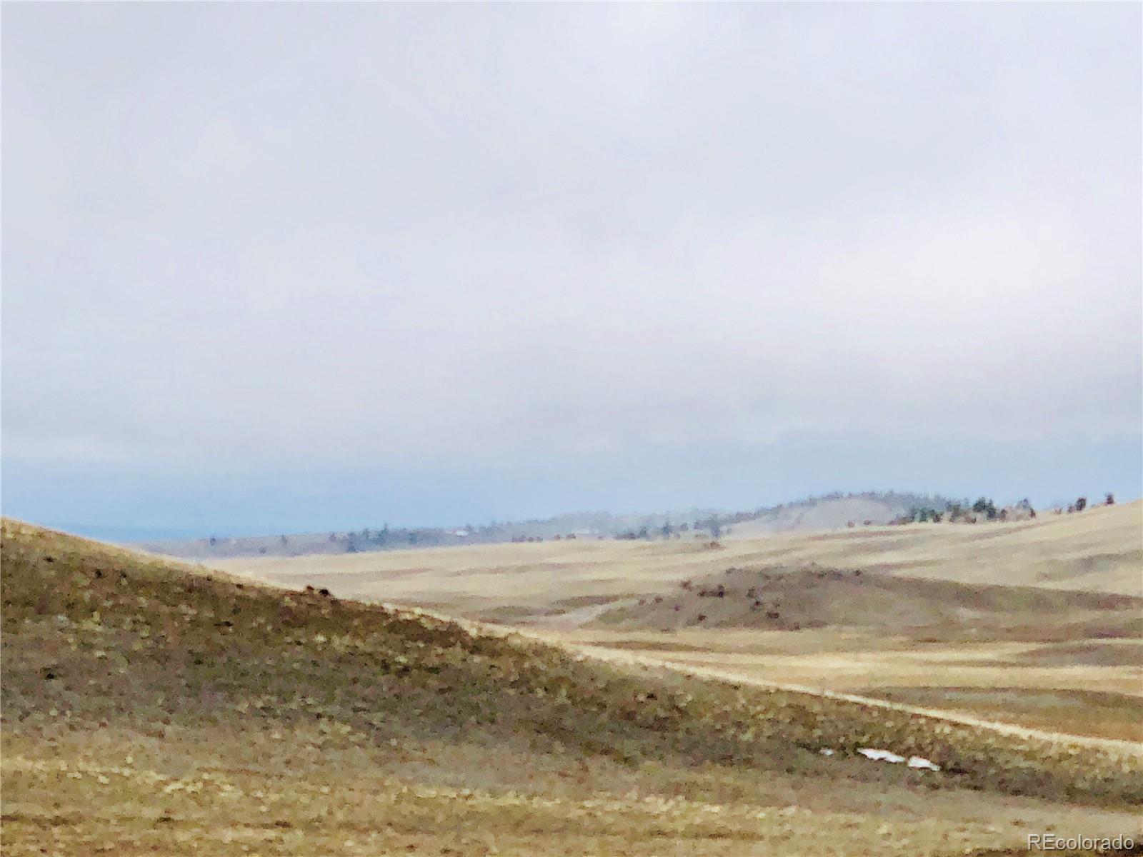 114 Chicha Road Hartsel, CO 80449 - Photo 6 of 10