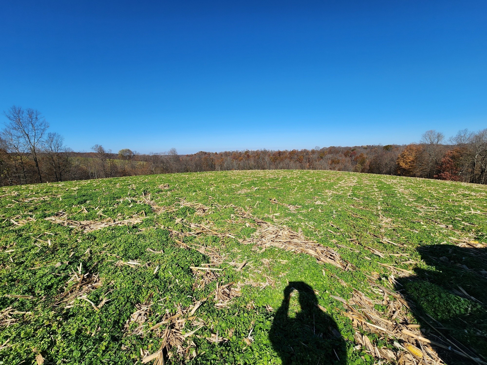 0 Taurus Farm Road Lafayette, TN 37083 - Photo 53 of 67