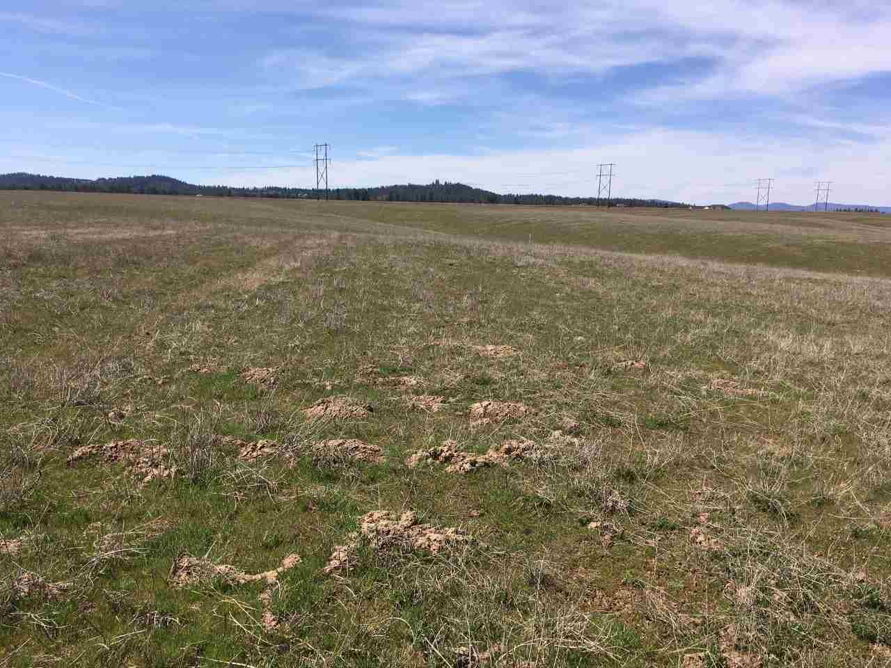 5 North Rd Colbert Wa 99005 Road Colbert, WA 99005 - Photo 2 of 4