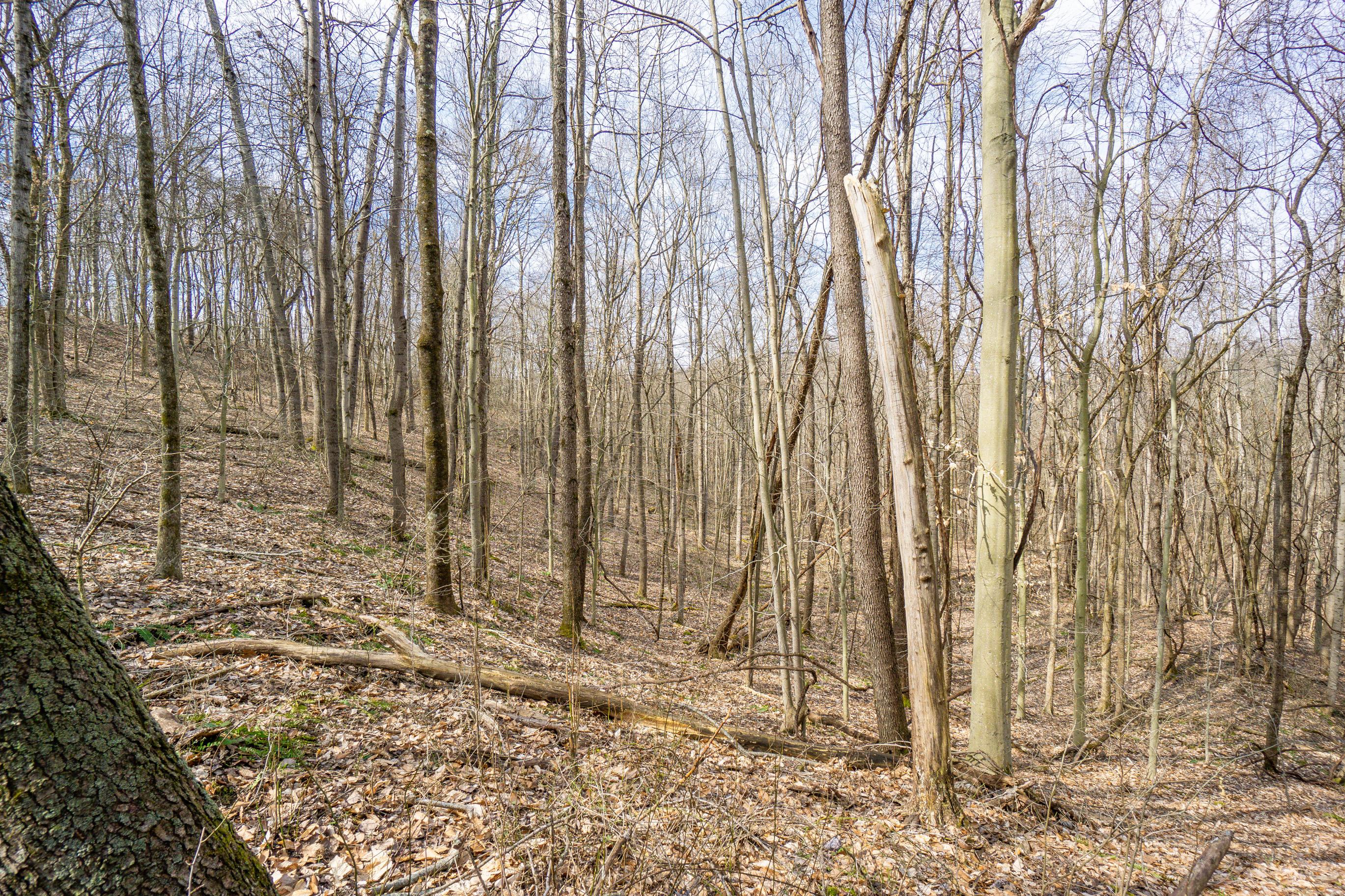 33996 West Buckingham Road Logan, OH 43138 - Photo 14 of 23 Gallery Image 14