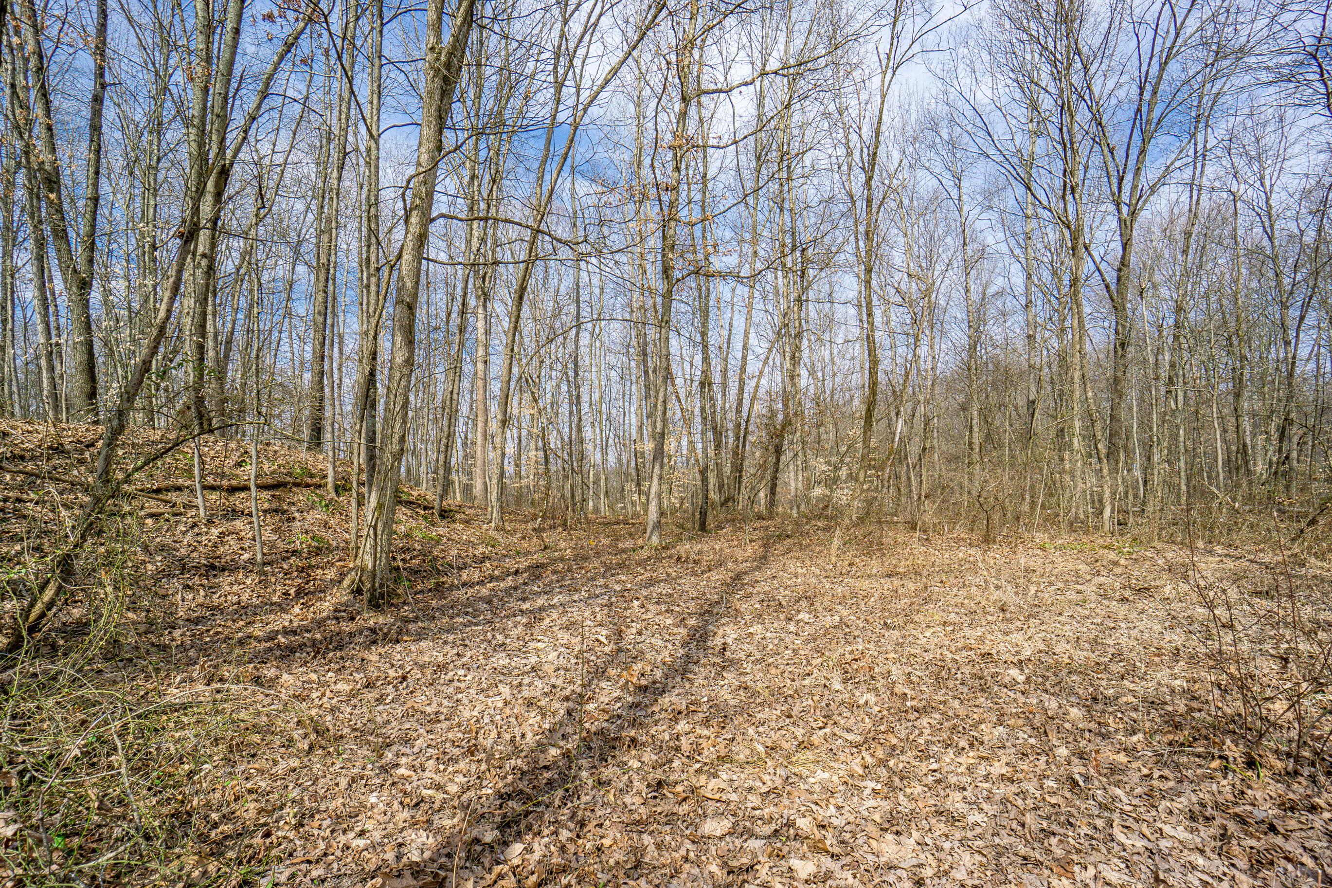 33996 West Buckingham Road Logan, OH 43138 - Photo 19 of 23 Gallery Image 19