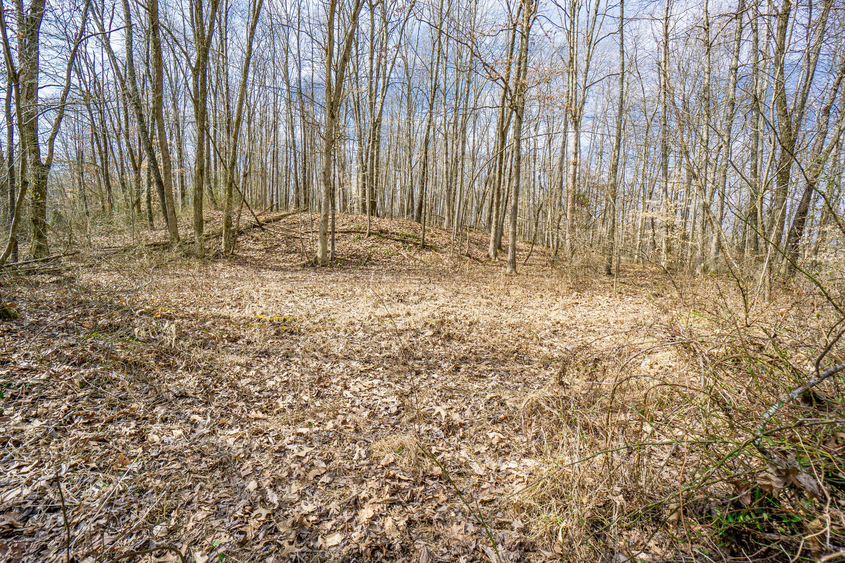 33996 West Buckingham Road Logan, OH 43138 - Photo 20 of 23 Gallery Image 20