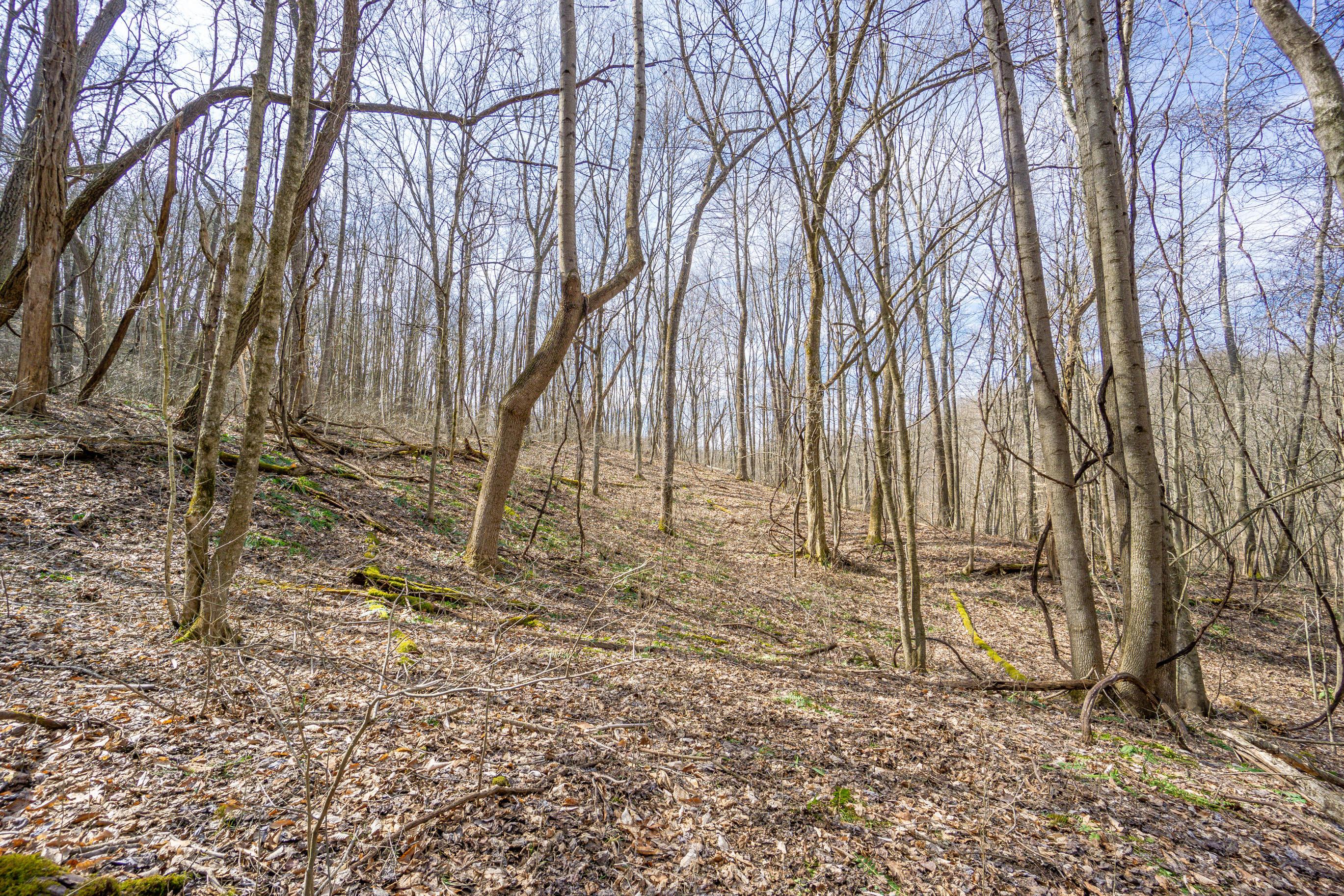 33996 West Buckingham Road Logan, OH 43138 - Photo 10 of 23 Gallery Image 10