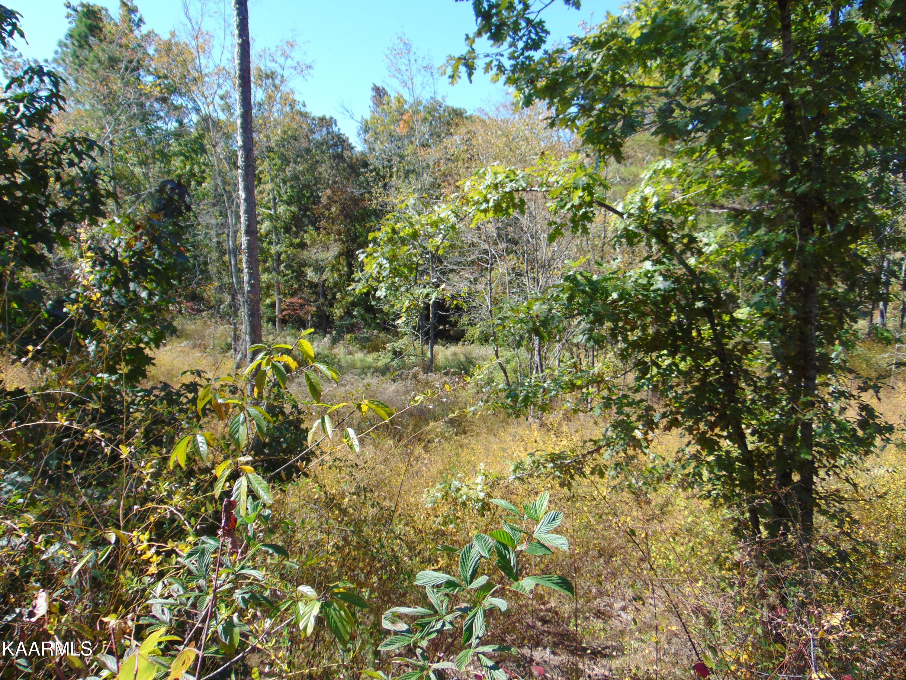 15-d-3 Cameron Road Decatur, TN 37322 - Photo 11 of 18 DSC01552