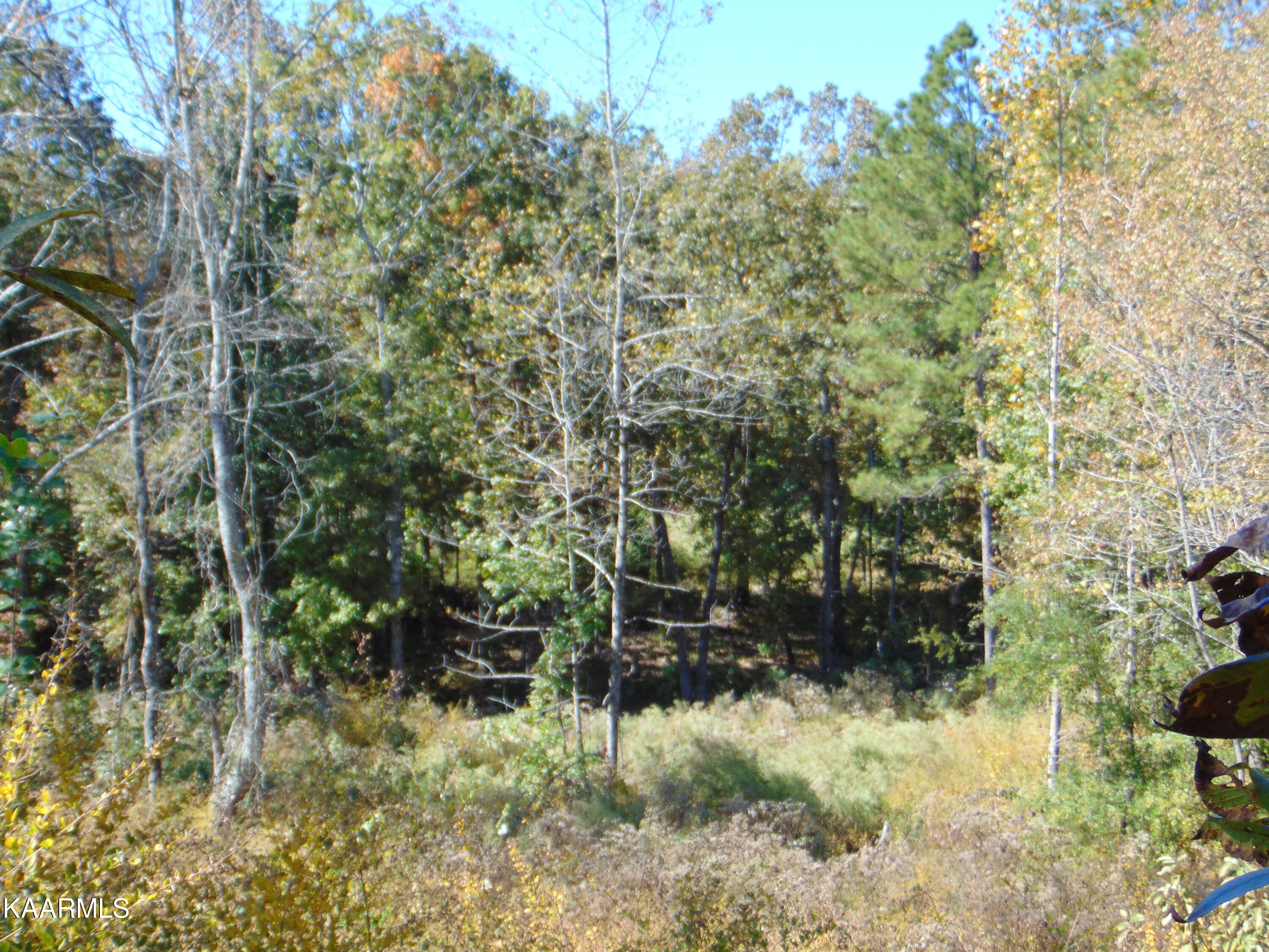 15-d-3 Cameron Road Decatur, TN 37322 - Photo 13 of 18 DSC01554