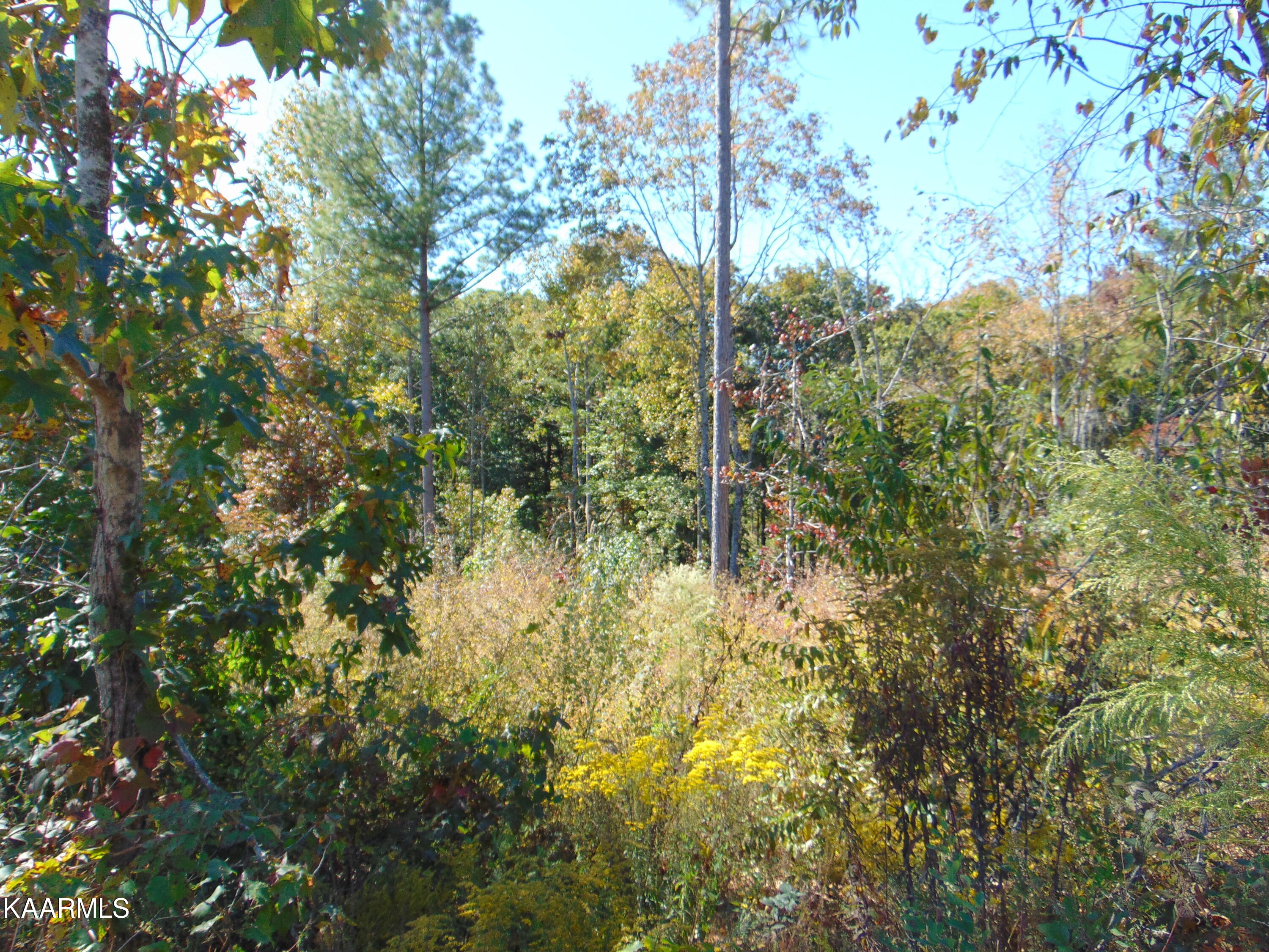15-d-3 Cameron Road Decatur, TN 37322 - Photo 14 of 18 DSC01555