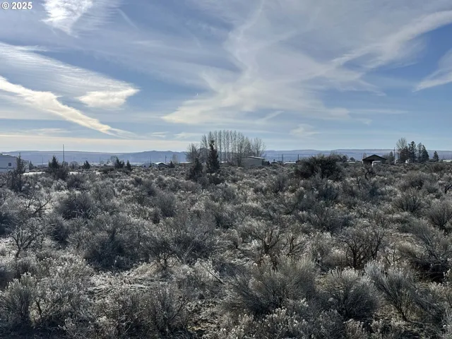 a view of a bunch of trees in a field