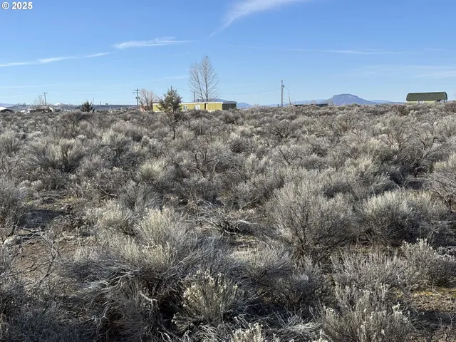 a view of a dry yard