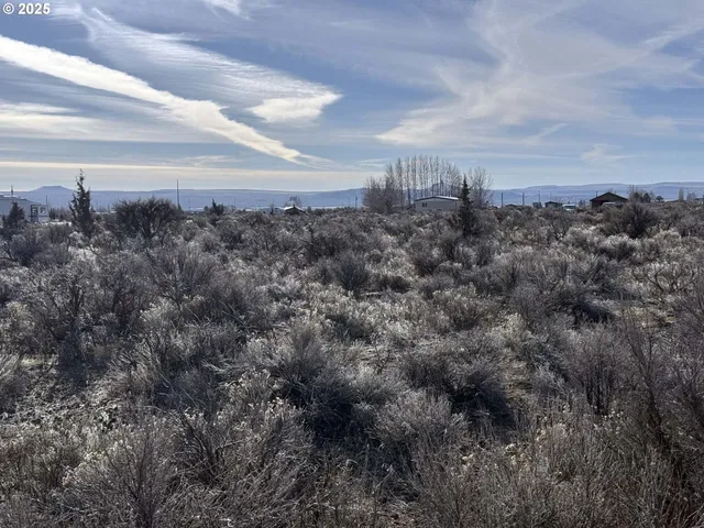 a view of a city with mountains in the background