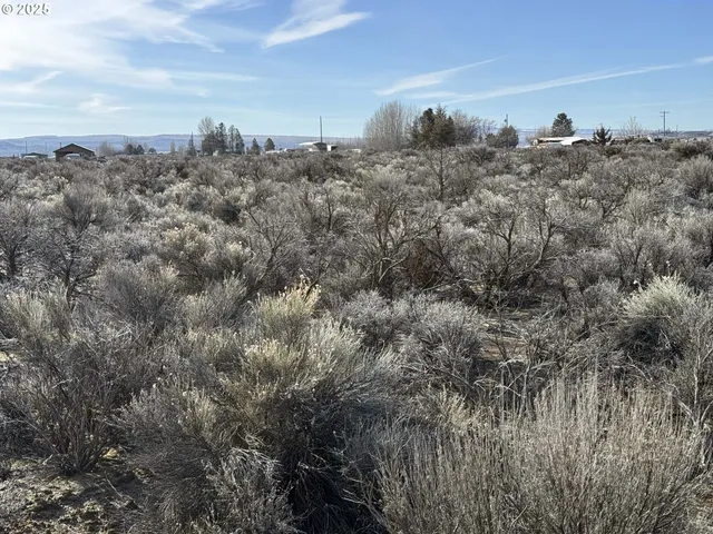 a view of a city with lush green forest