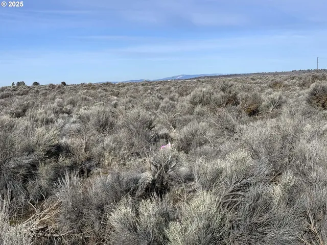 $7,000 | Winter Street, Unit L1200, Christmas Valley, OR 97641