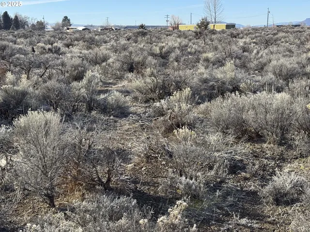 a view of a dry background