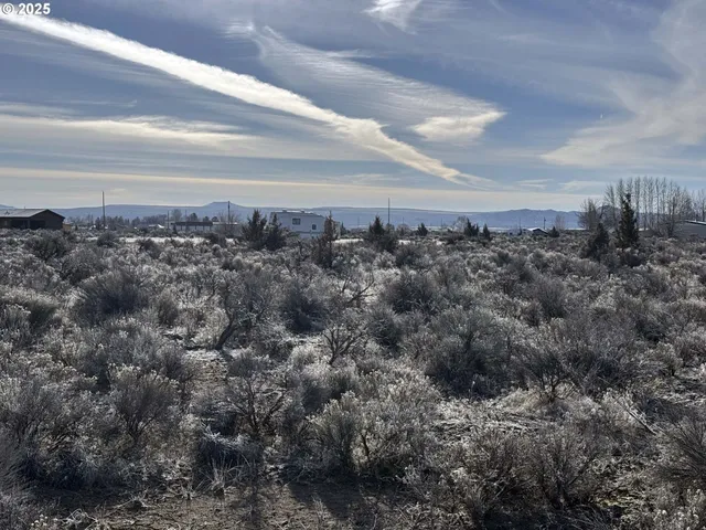 a view of a dry yard
