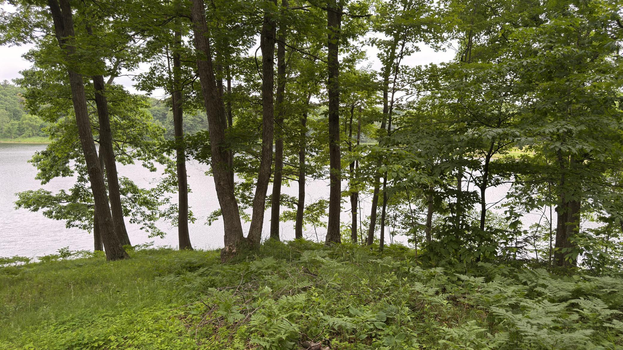 765 270th Cty Road Frederic, WI 54837 - Photo 12 of 17