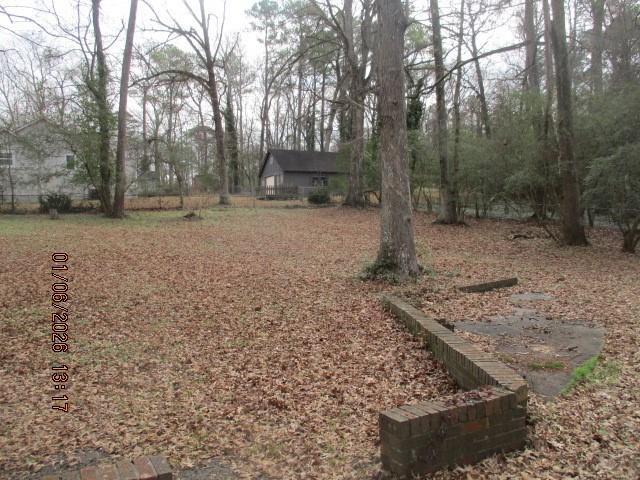 2125 River Road Ellenwood, GA 30294 - Photo 4 of 7