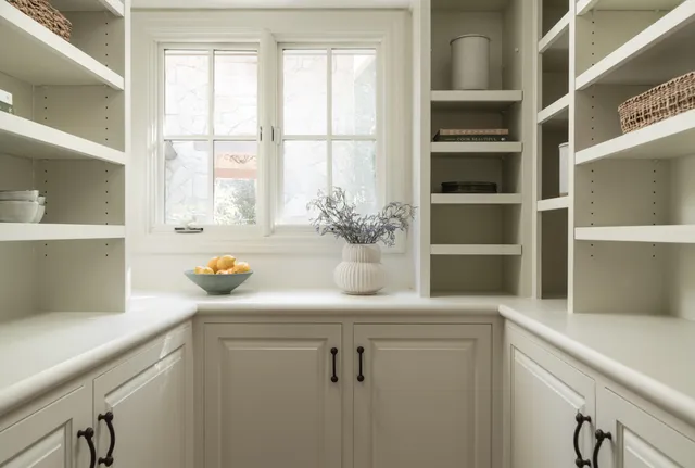 a kitchen with a sink and potted plant