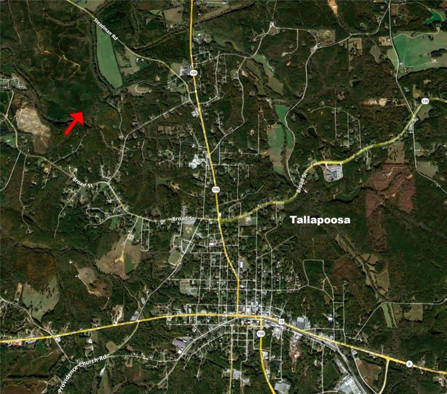 435 Steadman Road Tallapoosa, GA 30176 - Photo 6 of 6