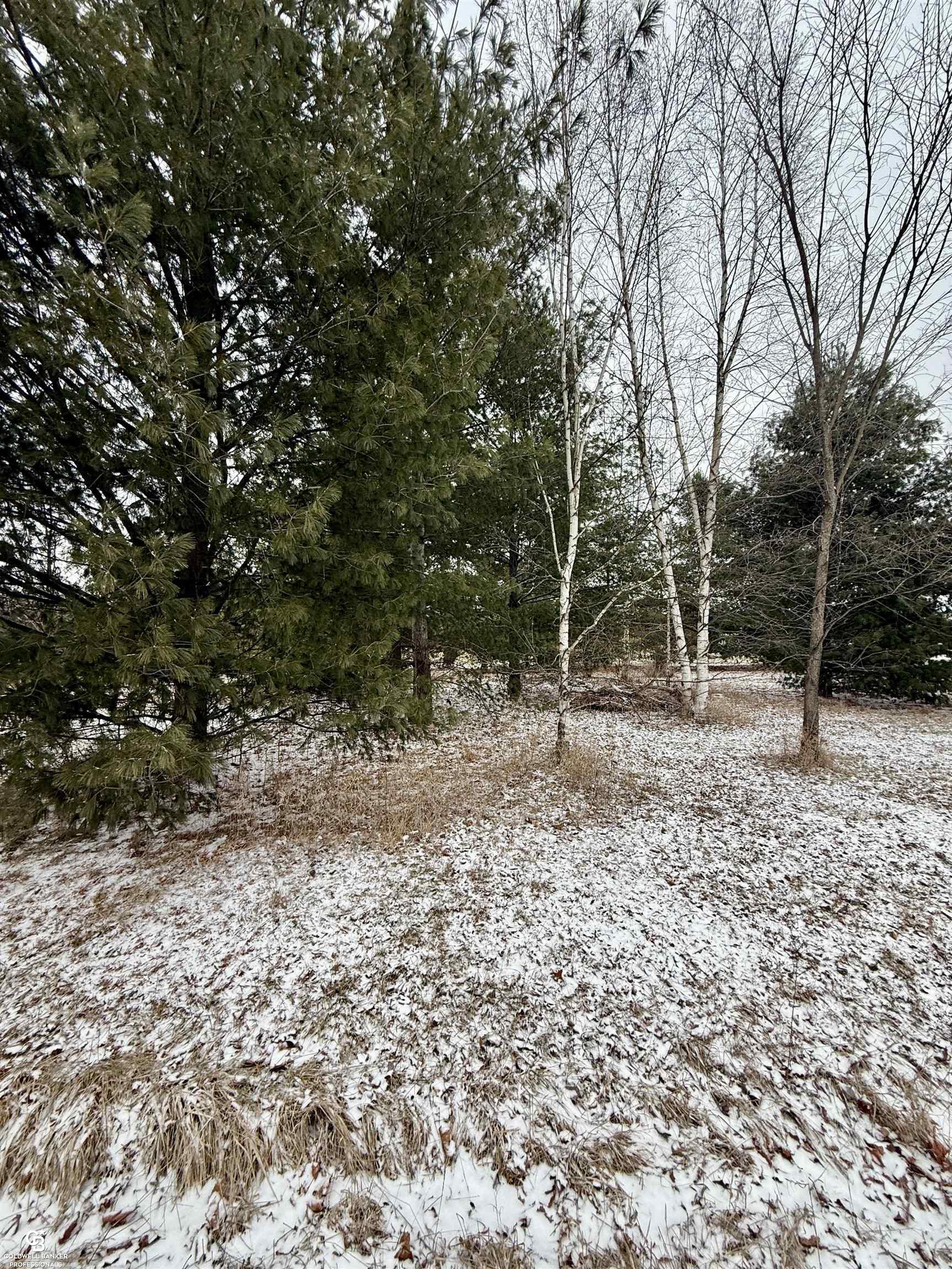 0 Comstock Road Jeddo, MI 48032 - Photo 6 of 10 Gallery Image 6