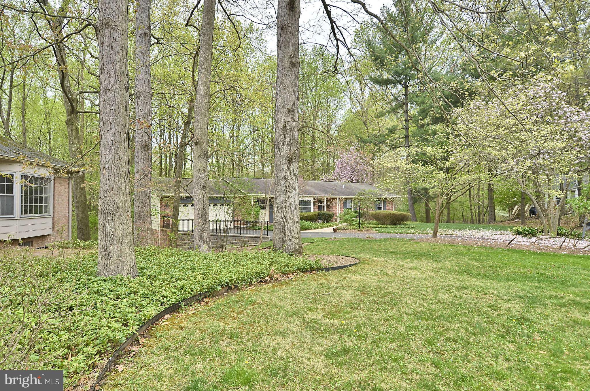 11701 Auth Lane Silver Spring, MD 20902 - Photo 2 of 30 Front Yard