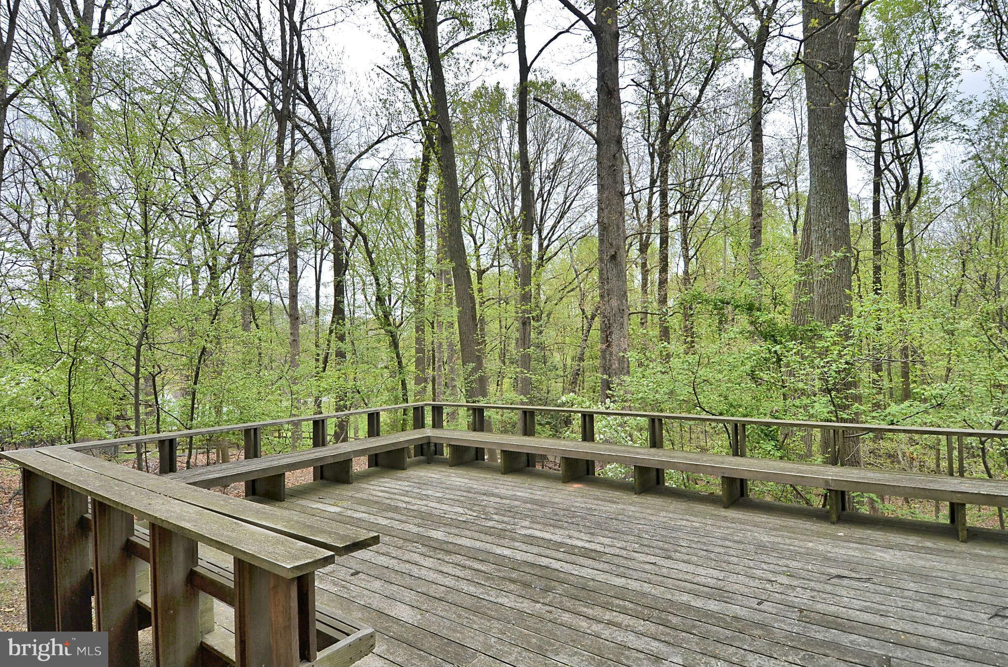 11701 Auth Lane Silver Spring, MD 20902 - Photo 24 of 30 Deck View 1