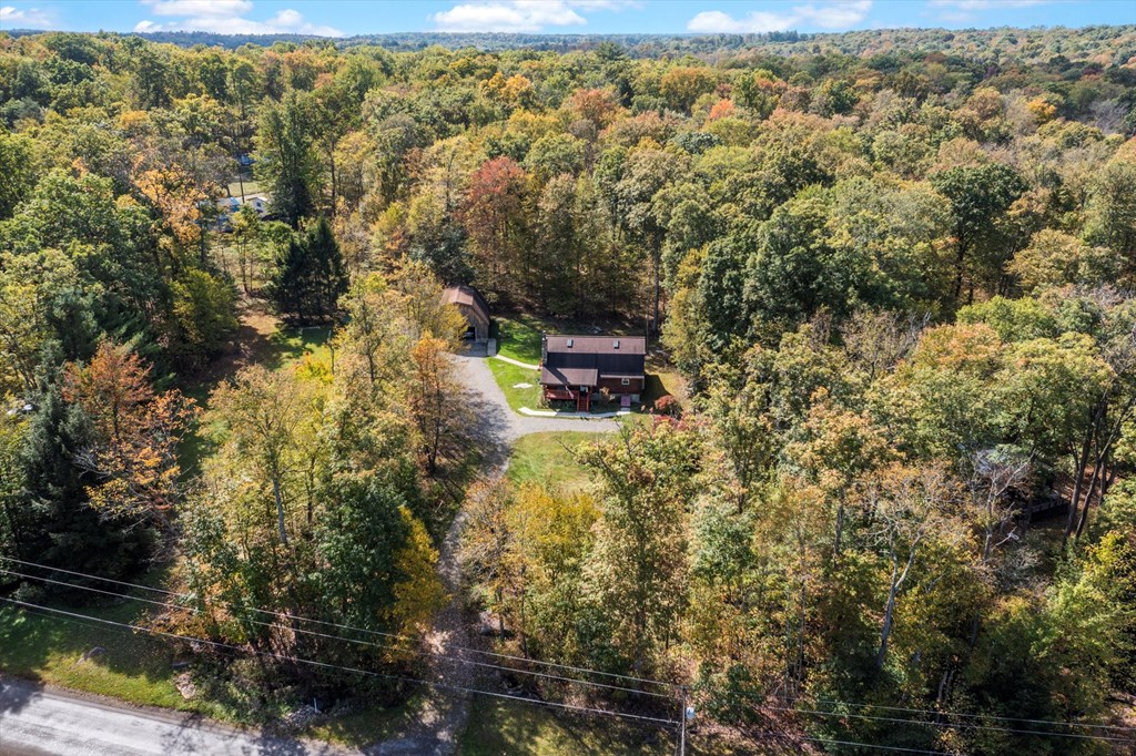 931 Nebraska Road Tionesta, PA 16353 - Photo 48 of 59