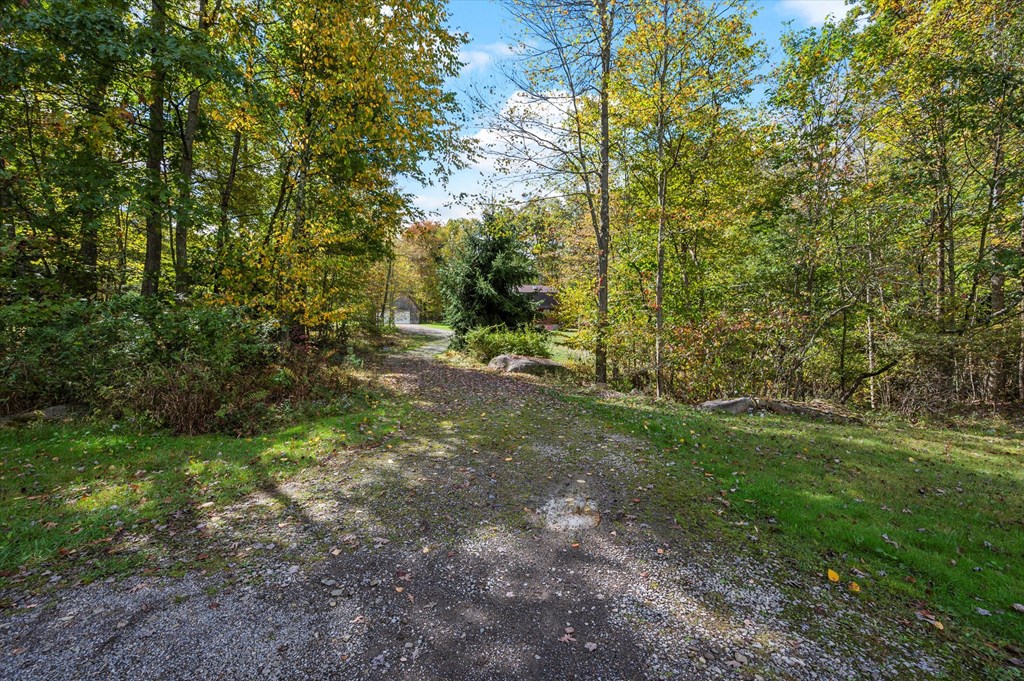 931 Nebraska Road Tionesta, PA 16353 - Photo 5 of 59