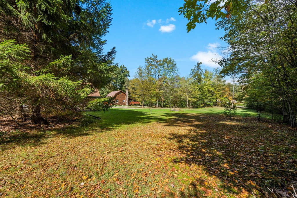 931 Nebraska Road Tionesta, PA 16353 - Photo 52 of 59