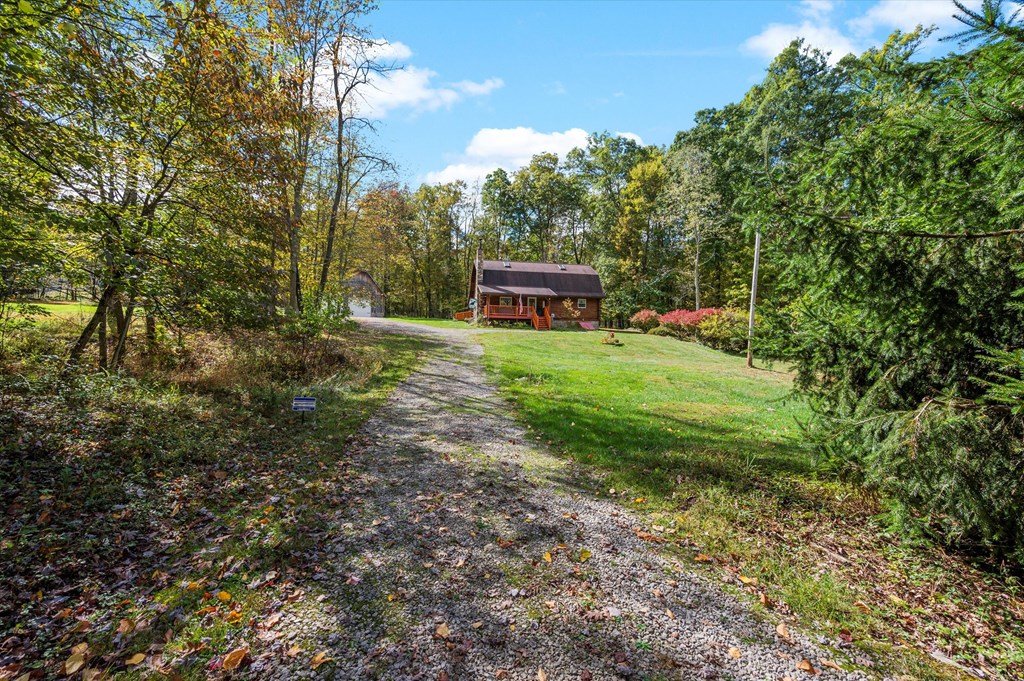 931 Nebraska Road Tionesta, PA 16353 - Photo 6 of 59