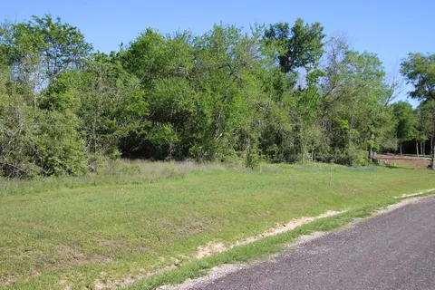 a view of a field with trees in the background