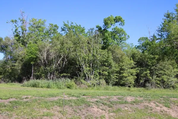 a big yard with lots of green space