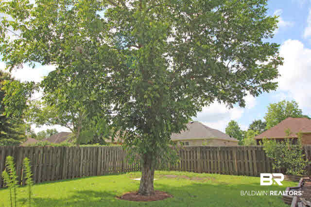 10440 Gayfer Rd Extension Fairhope, AL 36532 - Photo 40 of 41 Fenced Yard