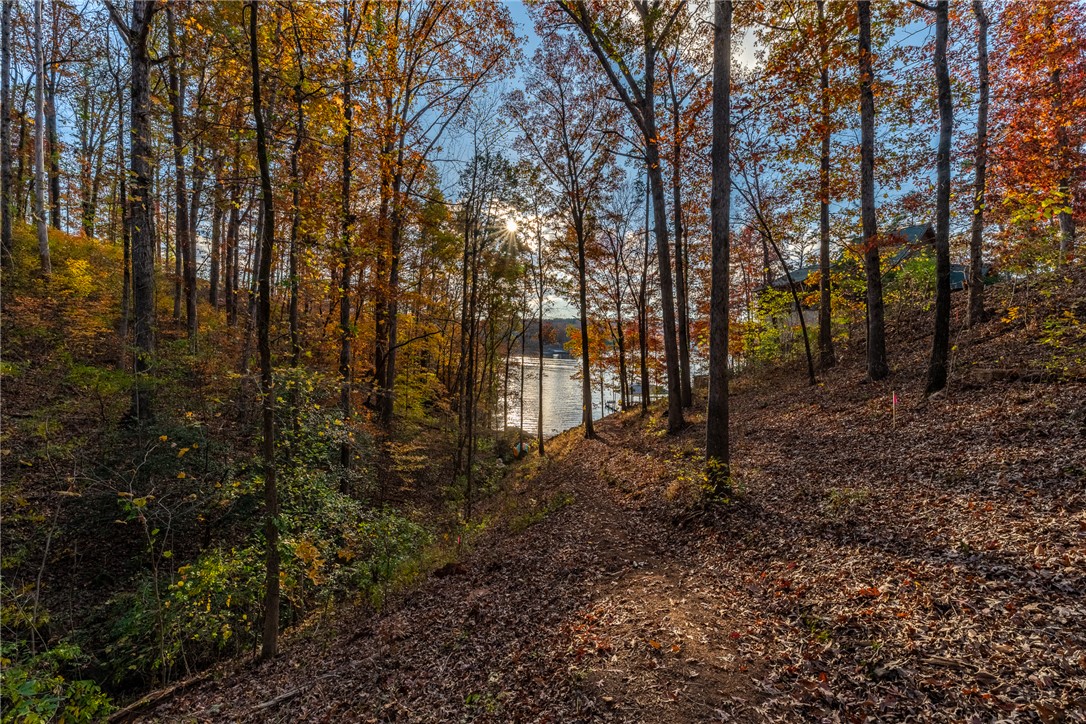 110 Keowee Overlook Road West Union, SC 29696 - Photo 30 of 43