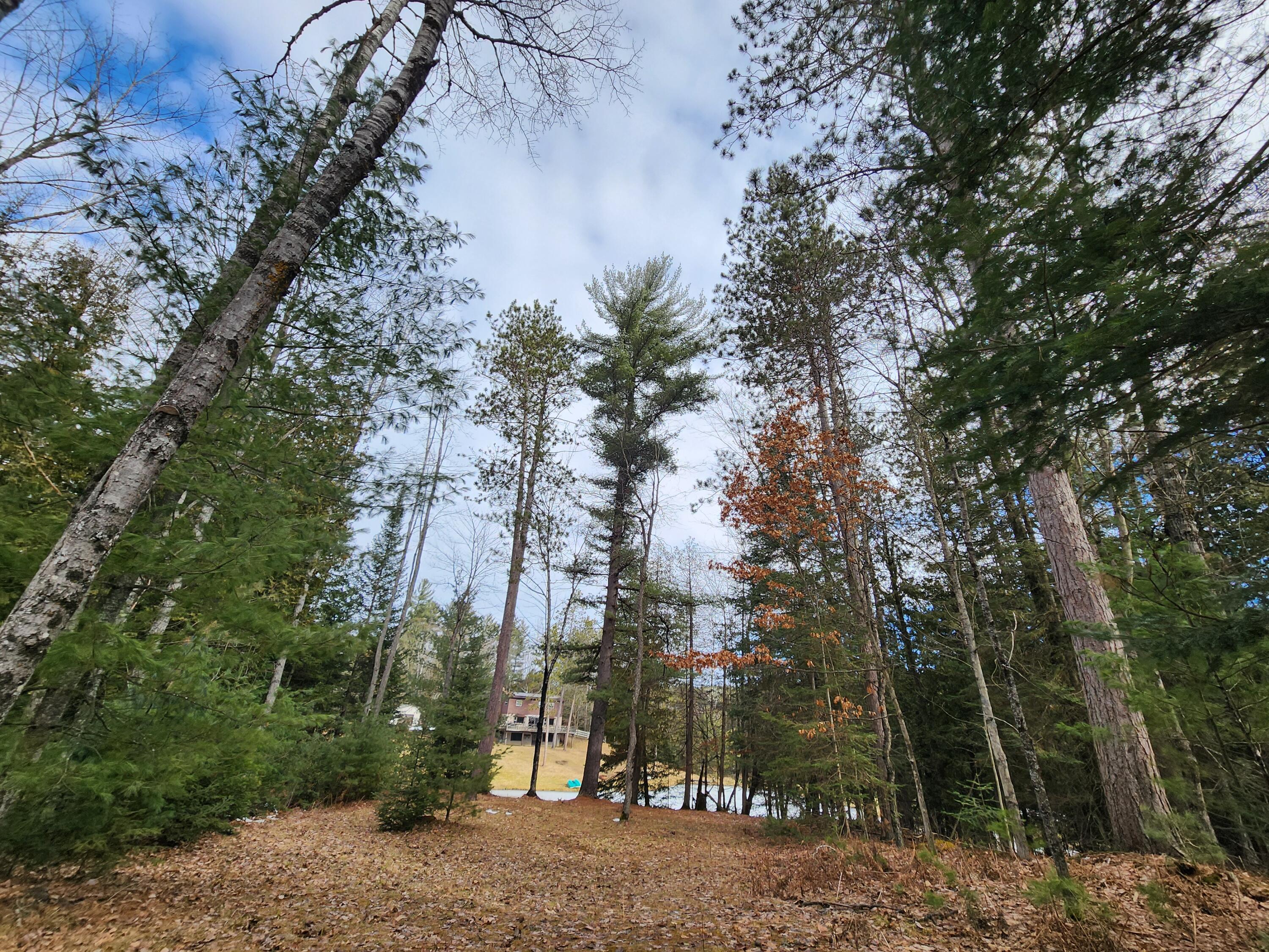 1122 North Perry Creek Road Mio, MI 48647 - Photo 4 of 159 Gallery Image 4