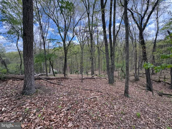 a view of outdoor space with trees