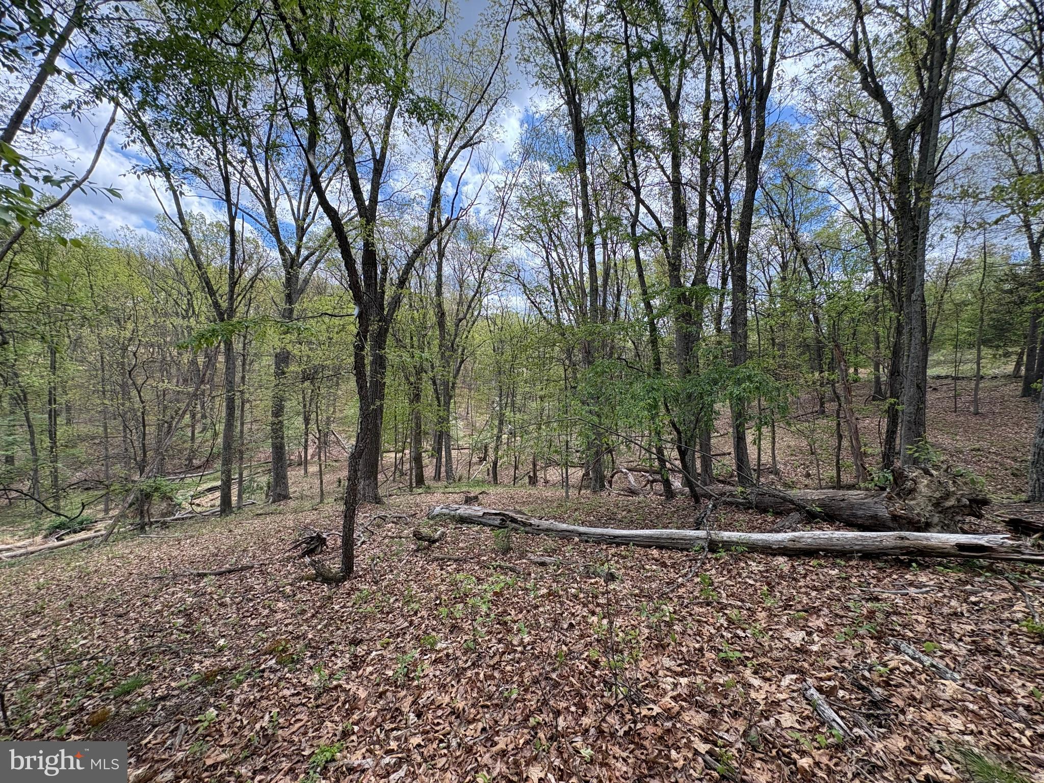 5-ac Beam Road Romney, WV 26757 - Photo 11 of 20 a backyard of a house with trees