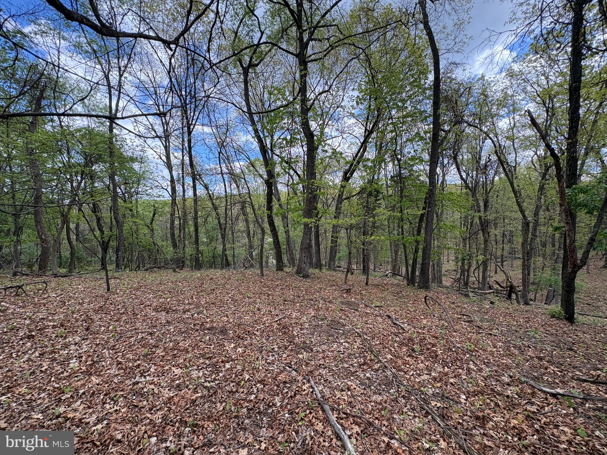 5-ac Beam Road Romney, WV 26757 - Photo 17 of 20 a view of a yard with trees