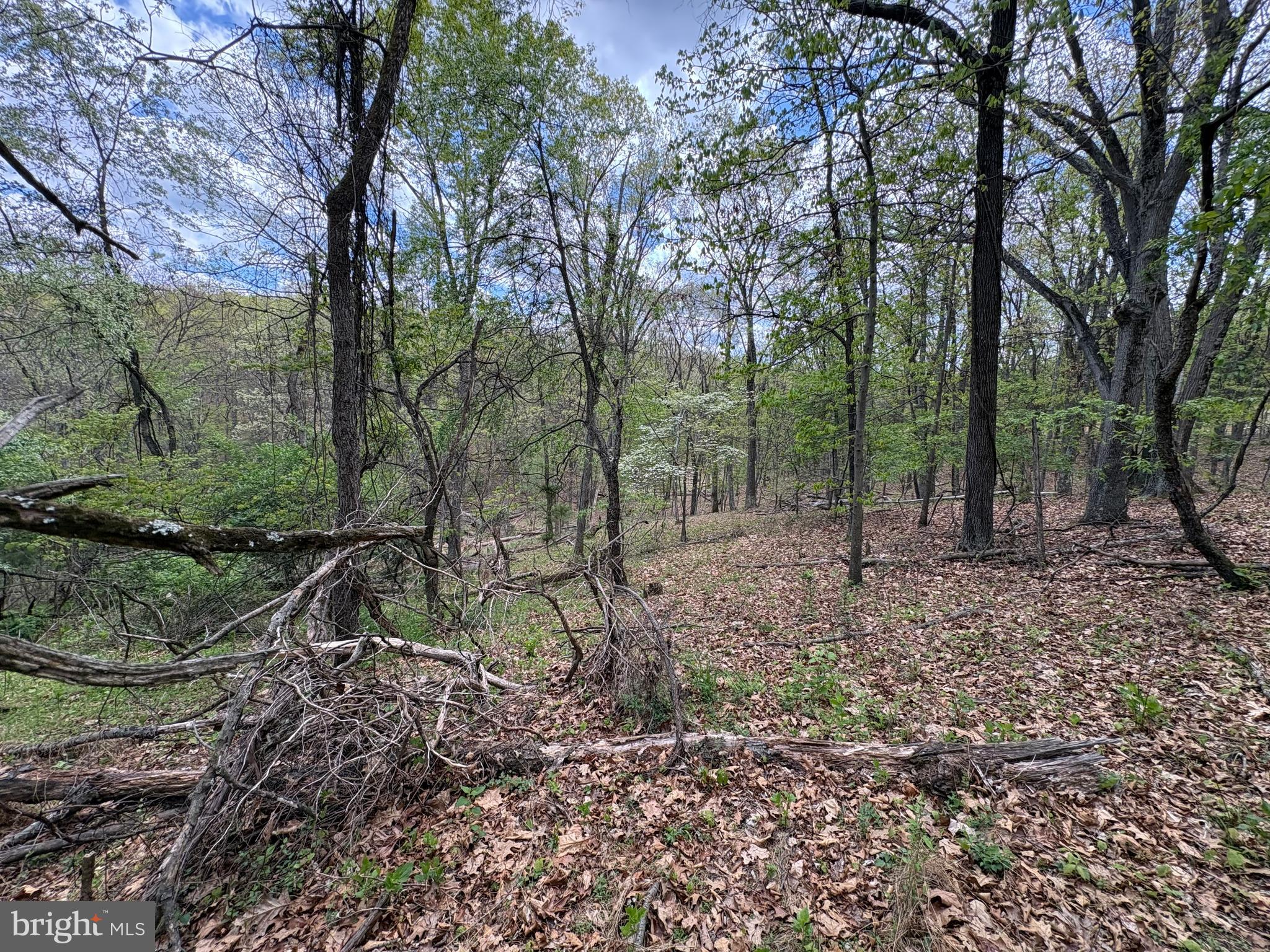 5-ac Beam Road Romney, WV 26757 - Photo 7 of 20 a view of outdoor space and trees