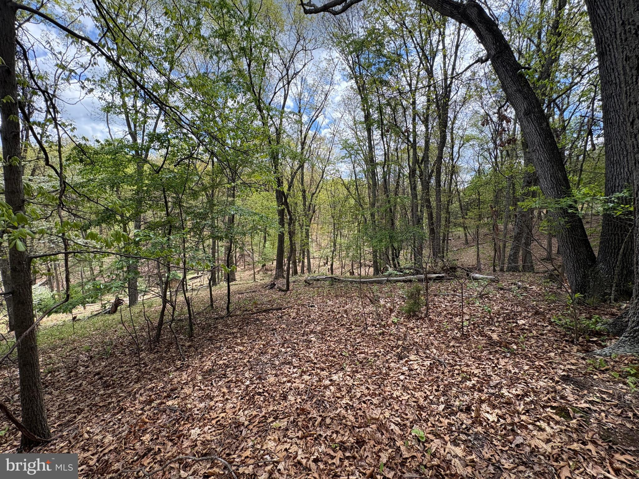 5-ac Beam Road Romney, WV 26757 - Photo 10 of 20 a backyard of a house with lots of green space