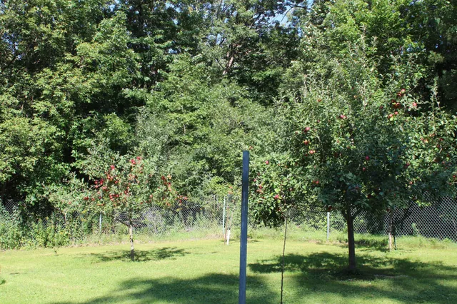 $395,000 | 67 60th Avenue, Clayton, WI 54004