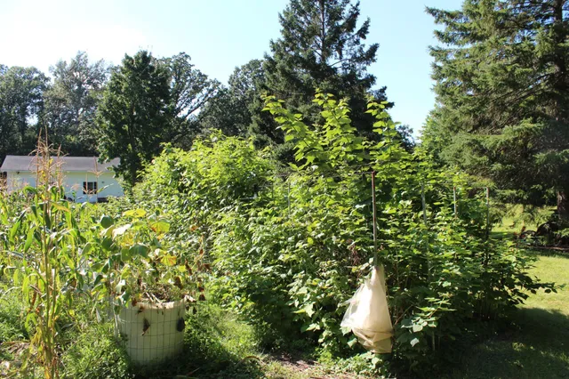 $395,000 | 67 60th Avenue, Clayton, WI 54004