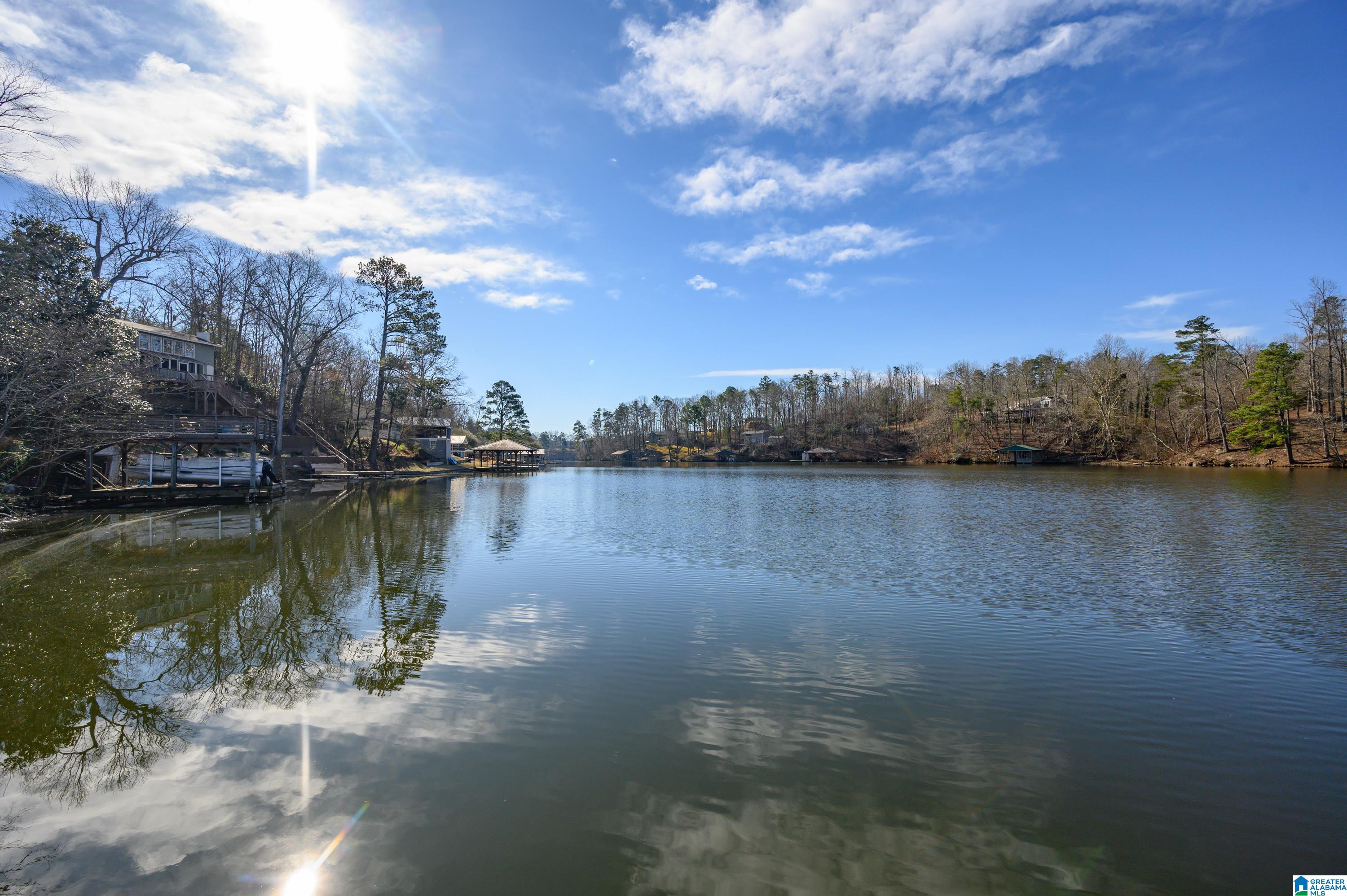 296 Lakeshore Lane Oneonta, AL 35121 - Photo 49 of 66