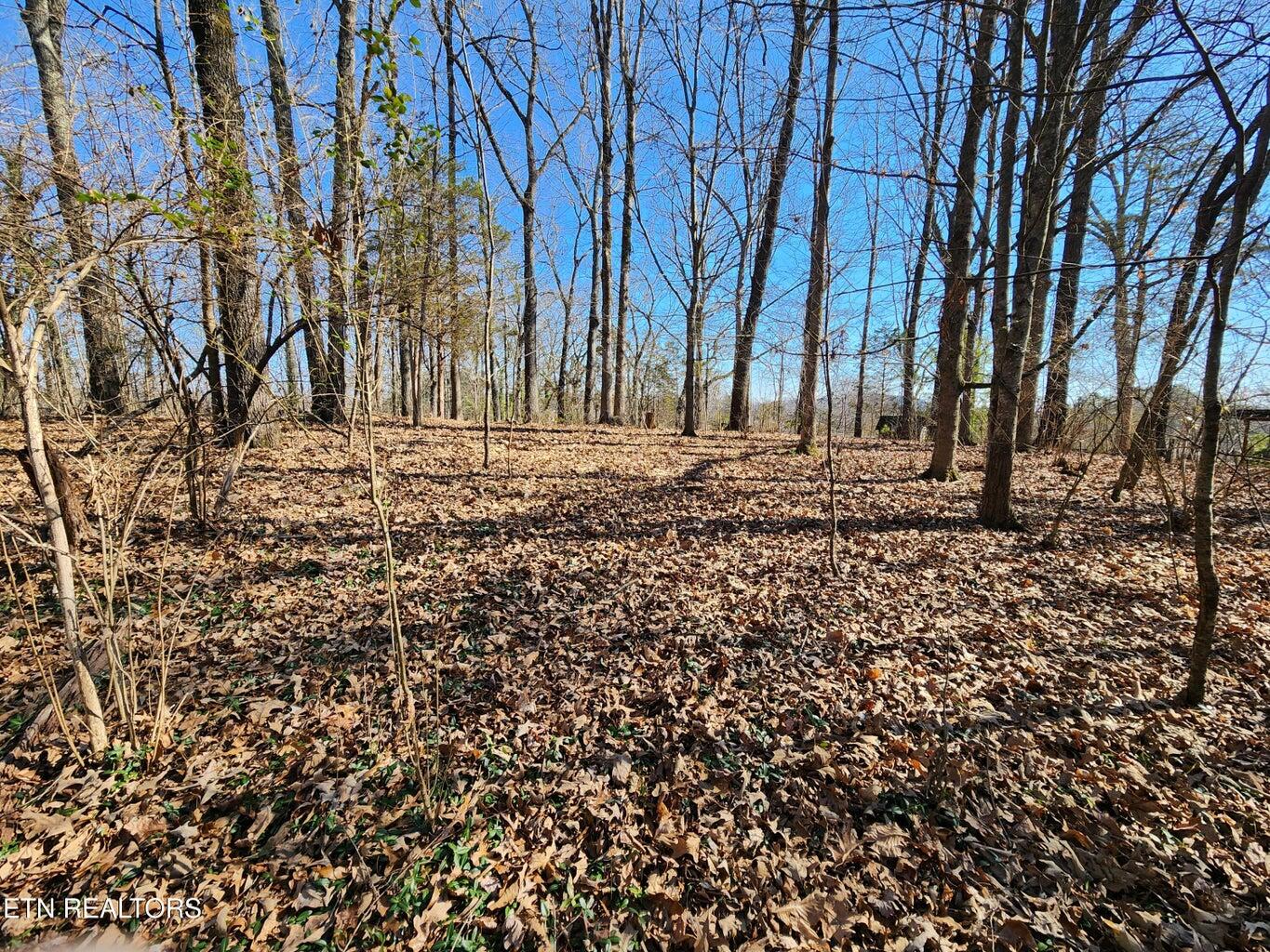 1506 Ridgeway Circle Athens, TN 37303 - Photo 30 of 31 30