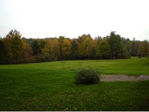 94 Hardie Road Conklin, NY 13748 - Photo 10 of 11 Gallery Image 10